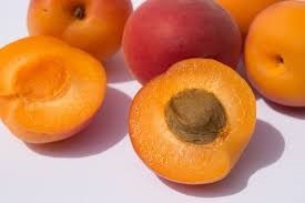 fruit bd abricot pour huile