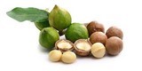 Huile de macadamia bio